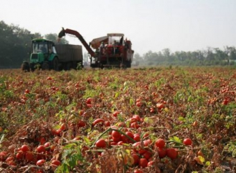 Technical Assistance for Energy and Resource Efficiency Audit at Agrofusion – Mykolaiv, Kherson (Ukraine) – 2014