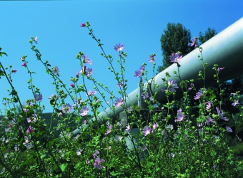 Enhancement of Environmental Protection Measures in the Oil/Gas Industry of Central Asia – 2009