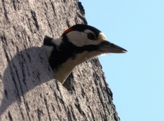 Gazprom files to cancel $4.7 bln arbitration ruling