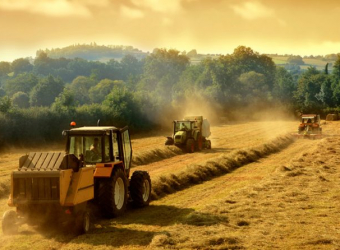 Підготовка та проведення сертифікаційного аудиту фермерських підприємств «Агро Центр», компанії «Кілган» (Львівська область, Україна) – 2018